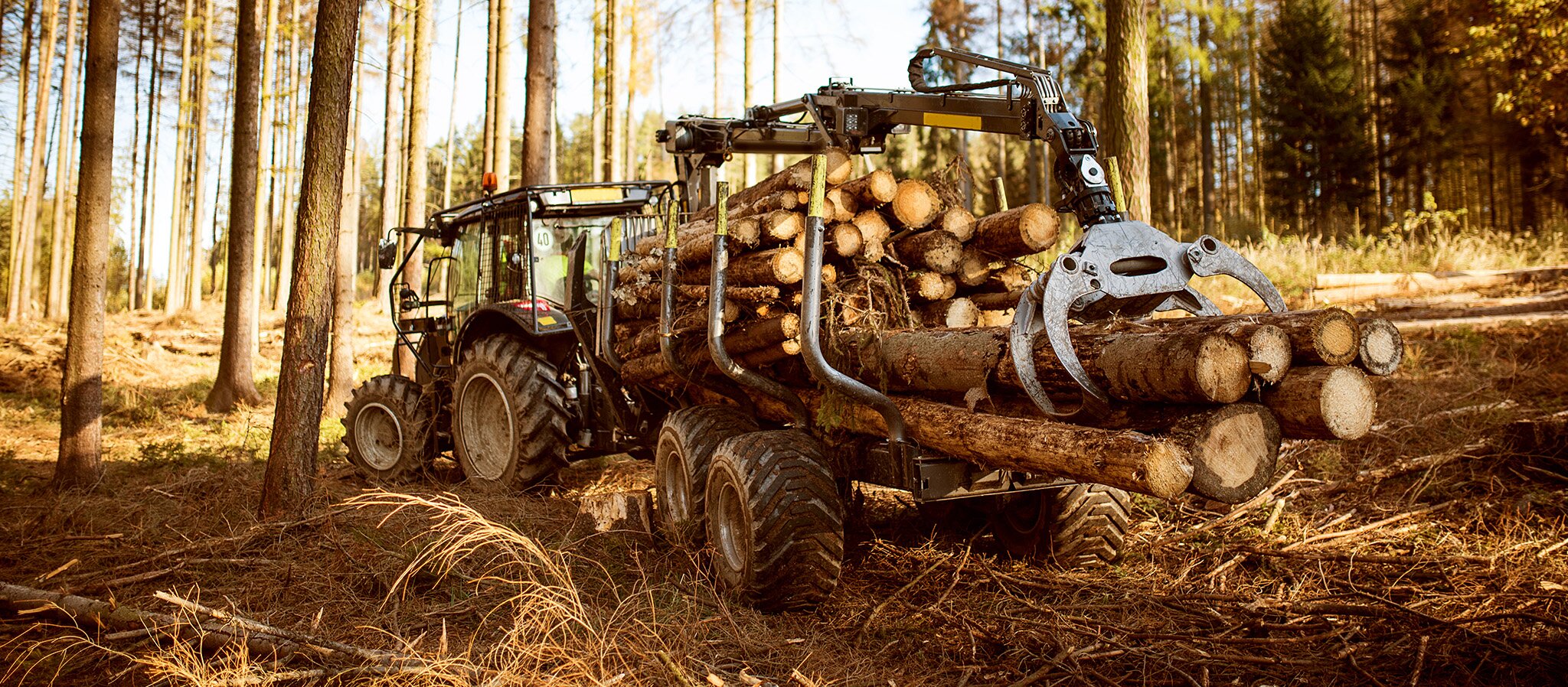 Le ventole reversibili Cleanfix mantengono sicuro il funzionamento delle macchine per la silvicoltura.